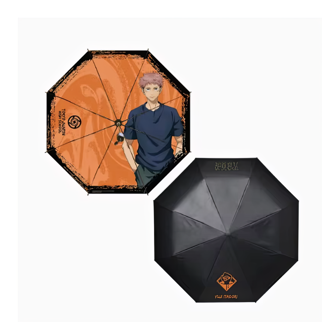 Domain Umbrella – Limited Edition